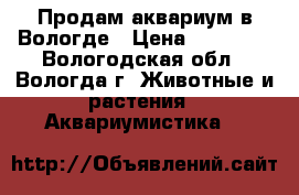 Продам аквариум в Вологде › Цена ­ 10 000 - Вологодская обл., Вологда г. Животные и растения » Аквариумистика   